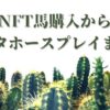 NFT購入から遊び方まで