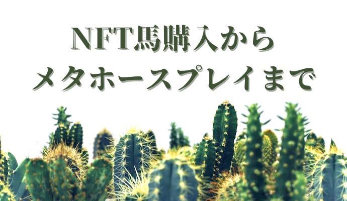 NFT購入から遊び方まで